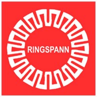 Ringspann完整的飞轮FBF系列产品