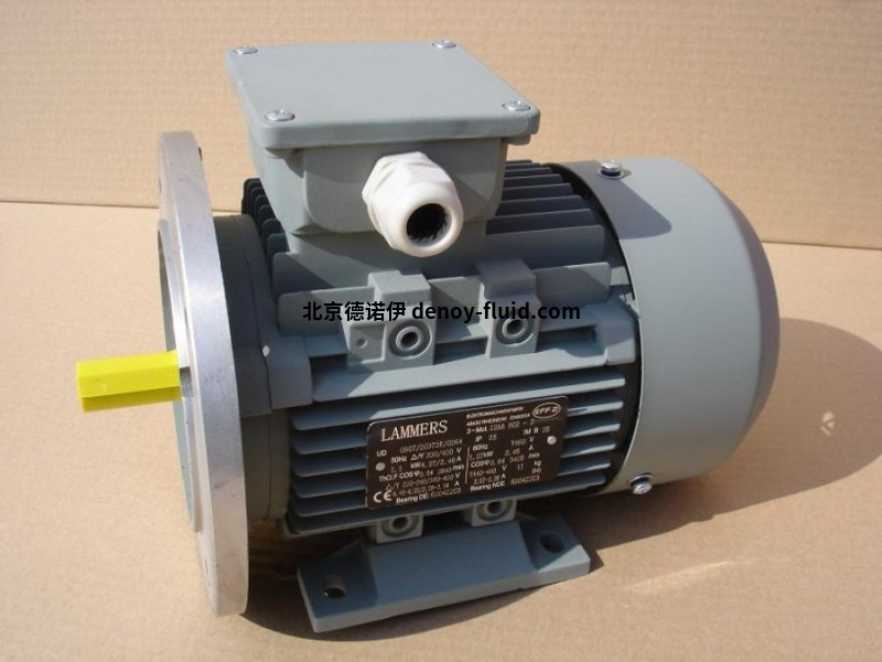 Lammers-12AA-12BA-villamos-motor