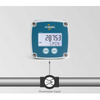 Fluidwell B系列流速指示器，用于显示实际流量、总流量和累计总流量